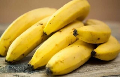 В супермаркеты Германии завезли бананы с кокаином